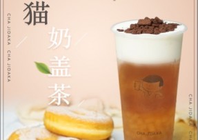 欧陆娱乐：熊猫奶盖茶